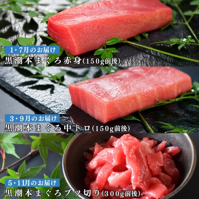 【定期便 6回】日本一!黒潮本まぐろ 中トロ・赤身・ブツ切り(3種交互)