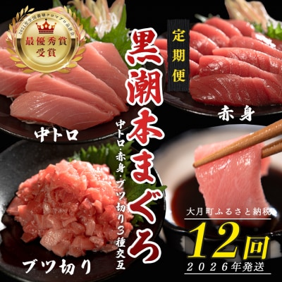 【定期便 12回】日本一!黒潮本まぐろ 中トロ・赤身・ブツ切り(3種交互)