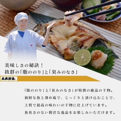 【定期便 12回】大月海の幸セット