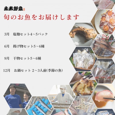 【定期便 4回】大月海の幸セット(大)