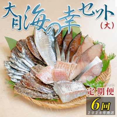 【定期便 6回】大月海の幸セット(大)