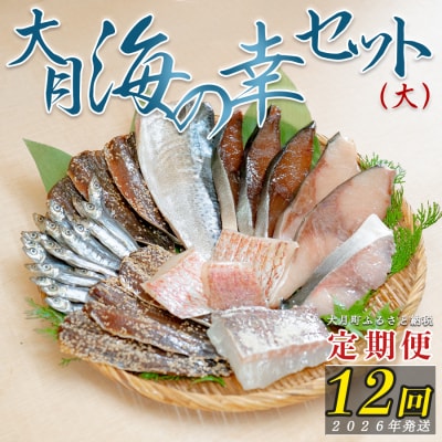 【定期便 12回】大月海の幸セット(大)