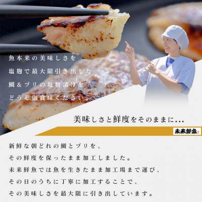 【定期便 6回】塩麹に漬け込んだタイ&ブリ