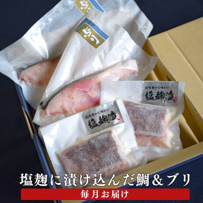 【定期便 12回】塩麹に漬け込んだタイ&ブリ