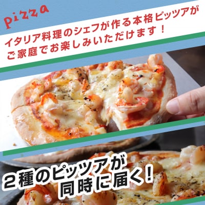 【定期便 4回】ピノッキオデリ 人気の手仕込みピッツァ