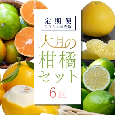 【定期便 6回】大月町旬の柑橘セット