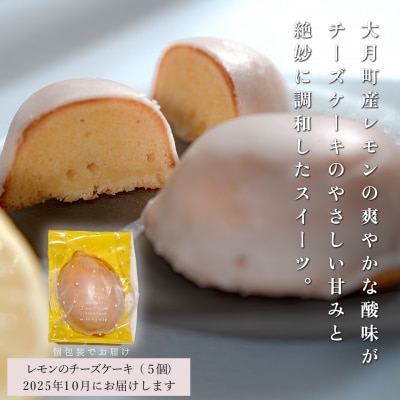 【定期便 3回】濃厚!人気のケーキ3種セット(年内にお届け)