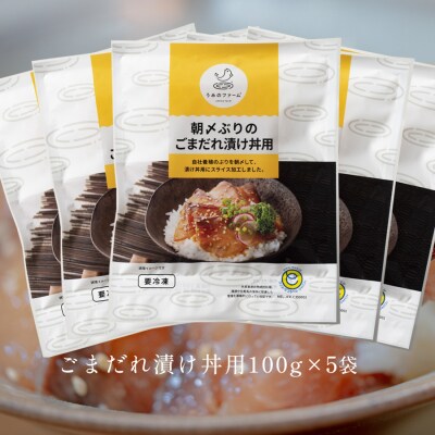 朝〆ぶり ごまだれ漬け丼用 100g×5袋 養殖 ブリ 鰤 小分け 冷凍 簡単調理 人気 海鮮丼