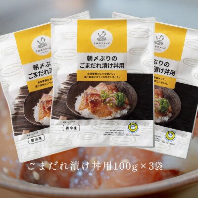 朝〆ぶり ごまだれ漬け丼用 100g×3袋 養殖 ブリ 鰤 小分け 冷凍 簡単調理 人気 海鮮丼