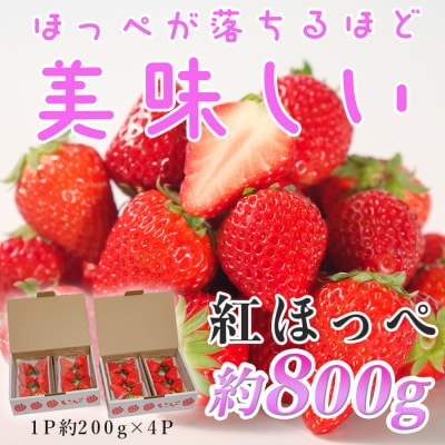ym 匎Yzgق؁@200g×4pbN