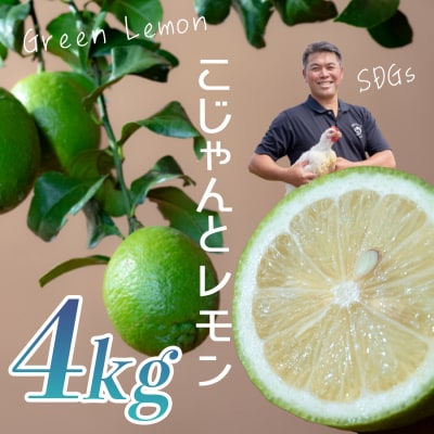こじゃんとレモン 4kg 国産 高知県 大月町 レモン