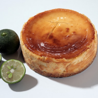 TOSAフロマージュ(ミレービスケット×四万十ぶしゅかんのNYチーズケーキ)