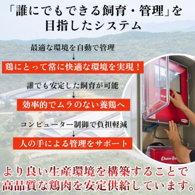 国産 鶏もも切り身 200g 小分け 冷凍 真空 骨なし よさこい尾鶏 高知県大月町