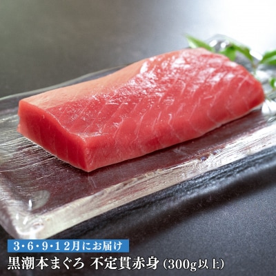 【定期便 4回】高知県産 本マグロ 赤身 養殖 2柵 300g (不定貫)