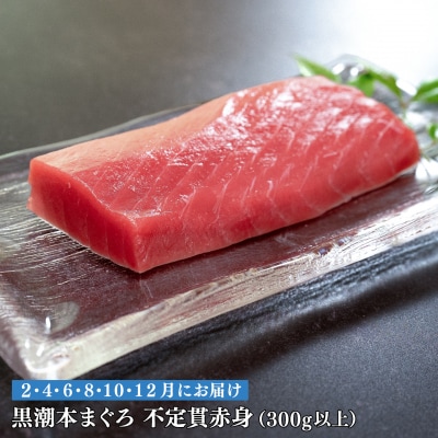【定期便 6回】高知県産 本マグロ 赤身 養殖 2柵 300g (不定貫)