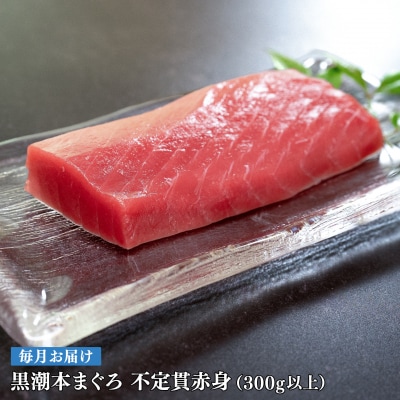 【定期便 12回】高知県産 本マグロ 赤身 養殖 2柵 300g (不定貫)