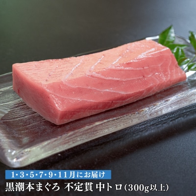 【定期便 6回】高知県産 本マグロ 中トロ 養殖 2柵 300g (不定貫)