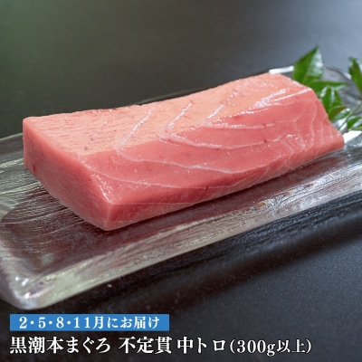 【定期便 4回】高知県産 本マグロ 中トロ 養殖 2柵 300g (不定貫)