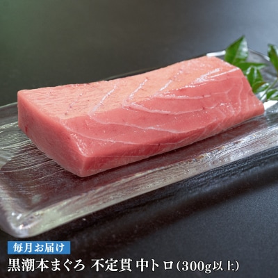 【定期便 12回】高知県産 本マグロ 中トロ 養殖 2柵 300g (不定貫)