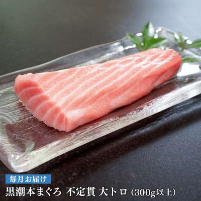 【定期便 12回】高知県産 本マグロ 大トロ 養殖 2柵 300g (不定貫)