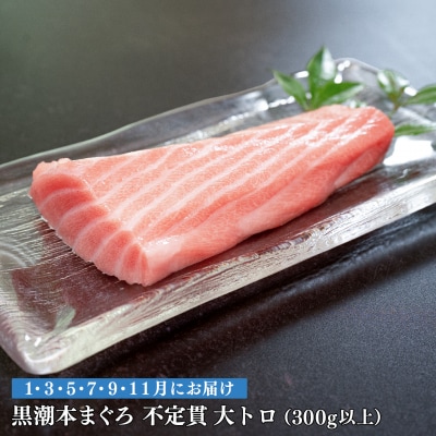 【定期便 6回】高知県産 本マグロ 大トロ 養殖 2柵 300g (不定貫)