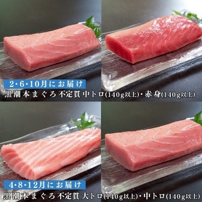 【定期便 6回】高知県産 本マグロ 大トロ・中トロ・赤身 (不定貫) 月替わり