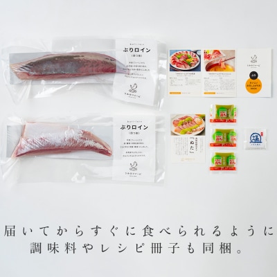 【定期便4回】冷蔵 養殖ぶり 2柵 セット 朝〆 鰤 ブリ 刺身 生食用 高知県 大月町 産地直送