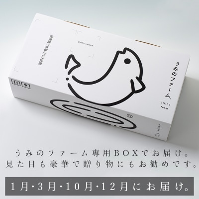【定期便4回】冷蔵 養殖ぶり 2柵 セット 朝〆 鰤 ブリ 刺身 生食用 高知県 大月町 産地直送