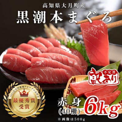 【訳アリ】 養殖本マグロ 赤身 6kg 黒潮本まぐろ 大容量 不定貫 刺身 まぐろ 鮪 業務用 訳あ