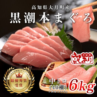 【訳アリ】 養殖本マグロ 中トロ 6kg 黒潮本まぐろ 大容量 不定貫 刺身 まぐろ 業務用 訳あり