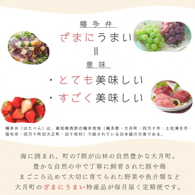 【定期便 12回】ざまにうまい!大月町 特産品セット まぐろ カツオ たたき 果物 豚肉 鶏肉