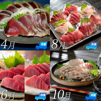【定期便 4回】大月町内の生産者さん大集結!旬のお刺身食べ比べセット 新鮮 海鮮 かつお まぐろ 鯛