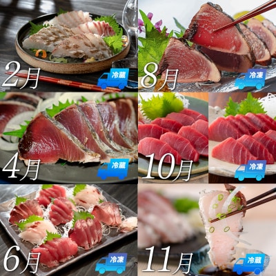 【定期便 6回】大月町内の生産者さん大集結!旬のお刺身食べ比べセット 新鮮 海鮮 カツオ マグロ 鯛