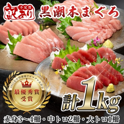 【訳アリ】 養殖本マグロ 赤身・中トロ・大トロ 1kg 黒潮本まぐろ 不定貫 刺身 海鮮 産地直送