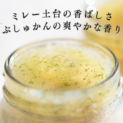 TOSAフロマージュ 瓶入りNYチーズケーキ 4個 ミレービスケット ぶしゅかん 柑橘 チーズ 銘菓