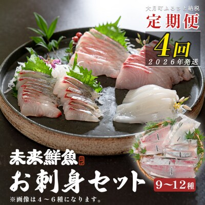 【定期便4回】旬のお刺身用柵セット 9～12種 高知 盛り合わせ 厳選 ギフト 御中元 海の幸 寿司