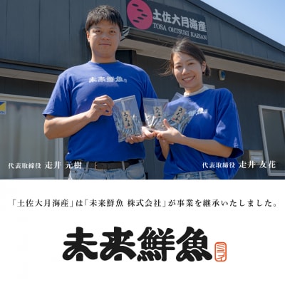 【定期便4回】旬のお刺身用柵セット 9～12種 高知 盛り合わせ 厳選 ギフト 御中元 海の幸 寿司