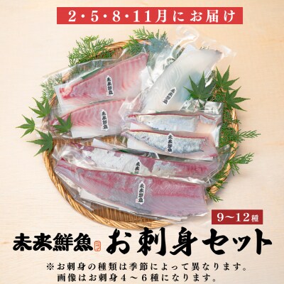 【定期便4回】旬のお刺身用柵セット 9～12種 高知 盛り合わせ 厳選 ギフト 御中元 海の幸 寿司