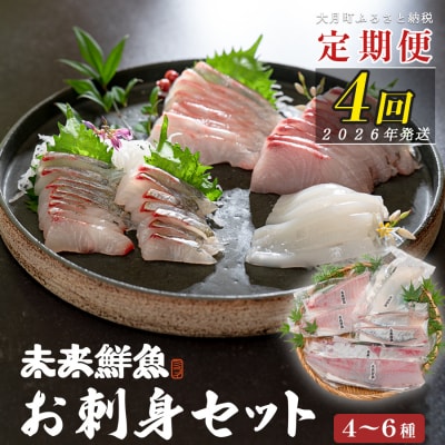 【定期便4回】旬のお刺身用柵セット 4～6種 高知県 海鮮 盛り合わせ 食べ比べ 鮮度抜群 グルメ