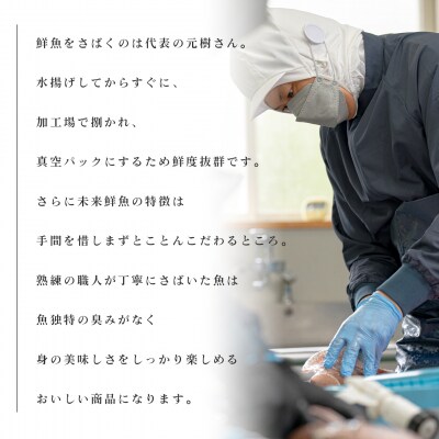 【定期便4回】旬のお刺身用柵セット 4～6種 高知県 海鮮 盛り合わせ 食べ比べ 鮮度抜群 グルメ