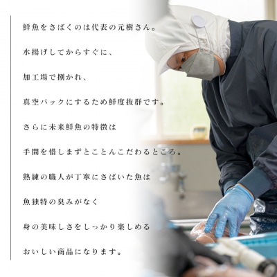 【定期便4回】旬のお刺身用柵セット 4～6種 高知県 海鮮 盛り合わせ 食べ比べ 鮮度抜群 グルメ