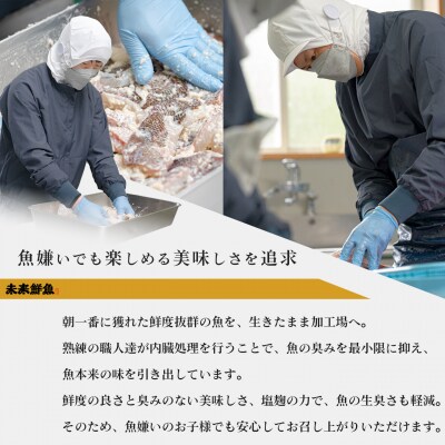 【定期便4回】塩麹に漬け込んだタイ&ブリ&地魚フライ 鯛 たい 鰤 ブリ 白身魚 揚げ物 おかず