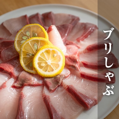 高知県産 ぶり 半身 活〆 1kg～  鰤 ブリ 刺身 さしみ 冷蔵 ぶり大根 年末年始 産地直送