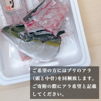 高知県産 ぶり 半身 活〆 1kg～  鰤 ブリ 刺身 さしみ 冷蔵 ぶり大根 年末年始 産地直送