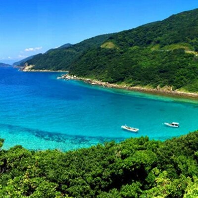 【期間限定】 お正月 贅沢 海鮮セット 本マグロ タイ ブリ おせち 団らん 海鮮 高知県産 大月町