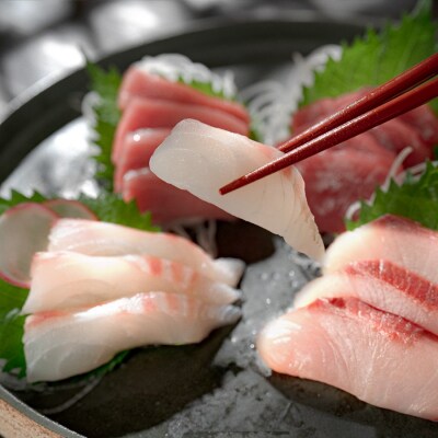 【期間限定】 お正月 贅沢 海鮮セット 本マグロ タイ ブリ おせち 団らん 海鮮 高知県産 大月町