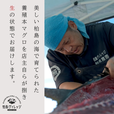 生 本マグロ 中トロ 赤身 刺身 約300g 冷蔵 養殖 トロ 本まぐろ 本鮪 刺し身 海鮮丼