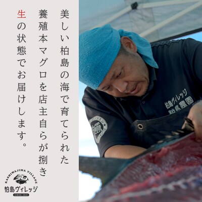 生 本マグロ 中トロ 赤身 刺身 約450g 冷蔵 養殖 トロ 本まぐろ 本鮪 刺し身 海鮮丼