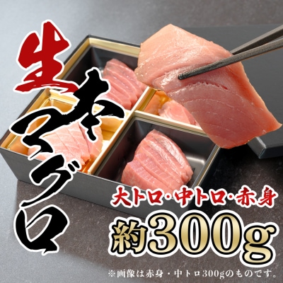生 本マグロ 大トロ 中トロ 赤身 3種 刺身 300g 養殖 本まぐろ 冷蔵 真空 年末 トロ