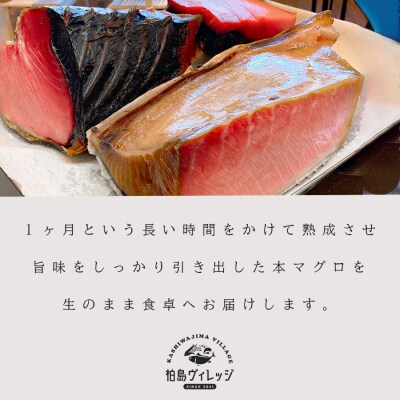 熟成 生 本マグロ 大トロ 中トロ 2種 計400g 各200g 冷蔵 刺身用 国産 熟成本まぐろ
